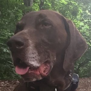 Meet your Posher, Tim